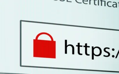 What does the little lock symbol next to a website address mean?